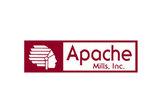 Logo Apache